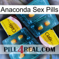 Anaconda Sex Pills cialis5